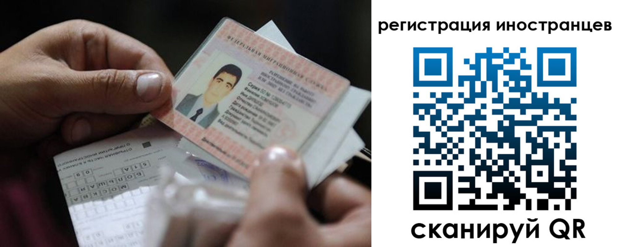 прописка для школы в Михайловке